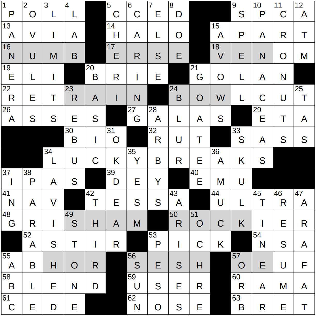 Solve the Big Name in Athletic Shoes NYT Crossword Puzzle with This Clue