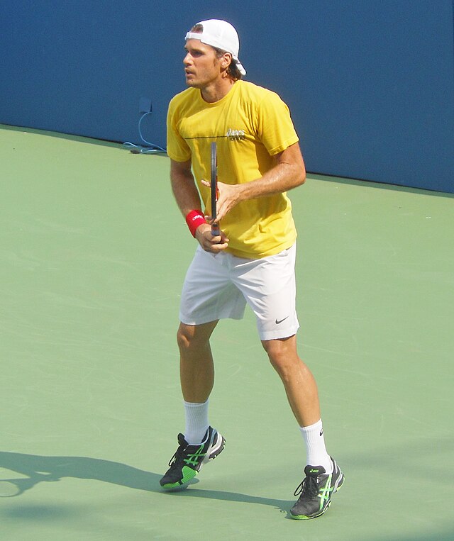 2009 Wimbledon Semifinalist Tommy Haas: A Historic Run