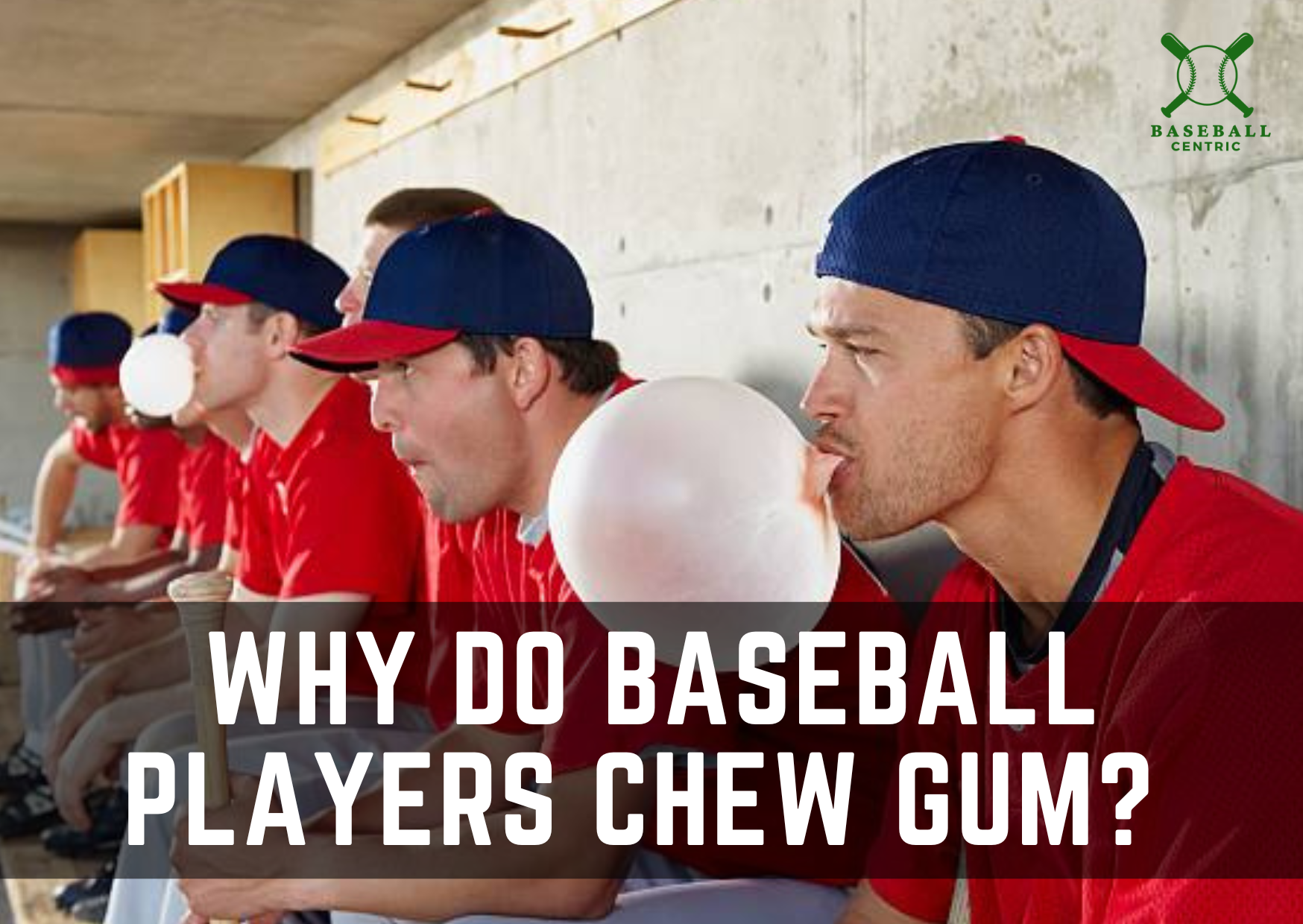 What Do Baseball Players Chew? Exploring Gum, Seeds, and Tobacco Traditions
