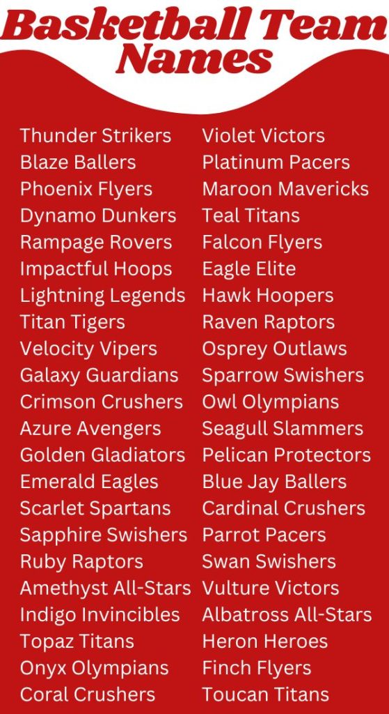 Best Funny Fantasy Basketball Team Names for 2024
