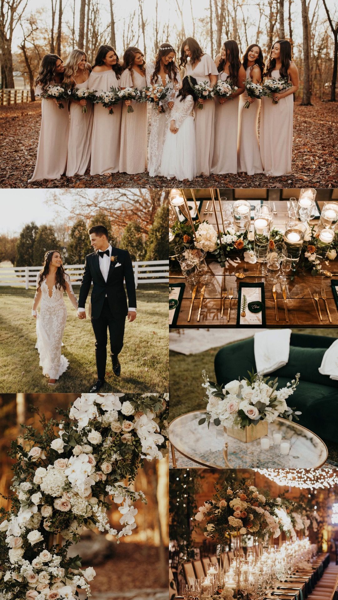 Corey Seager Wedding Pictures: Stunning Moments from His Dream Wedding