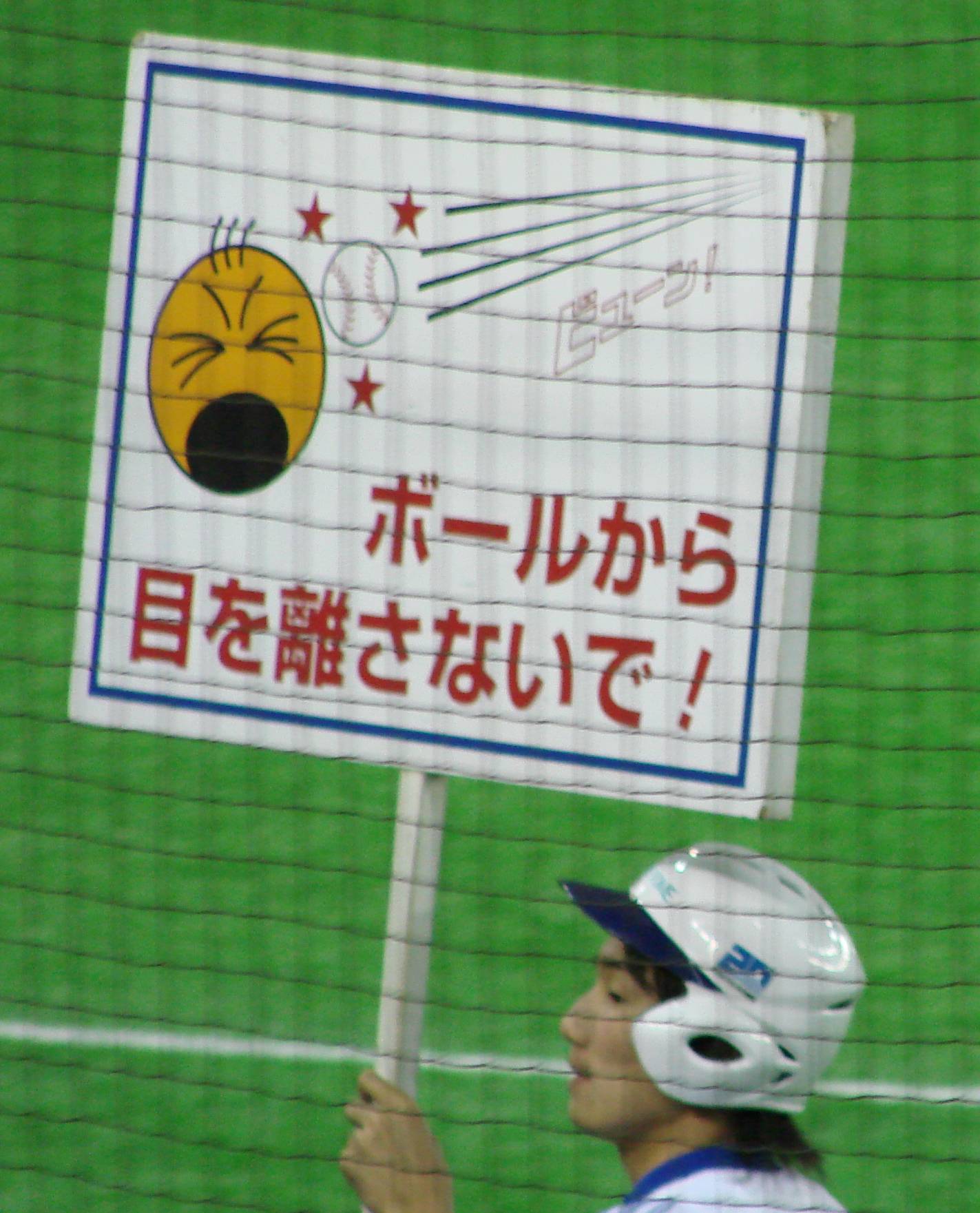 Foul Balls vs Home Runs Can You Keep the Ball in Japan
