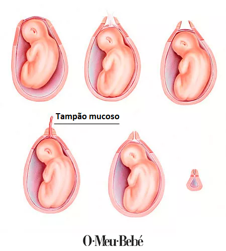 depois que sai o tampao demora pro bebe nascer