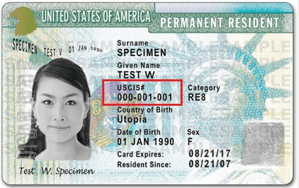 Easy Steps to Find Your A Number USCIS F1 Visa Application