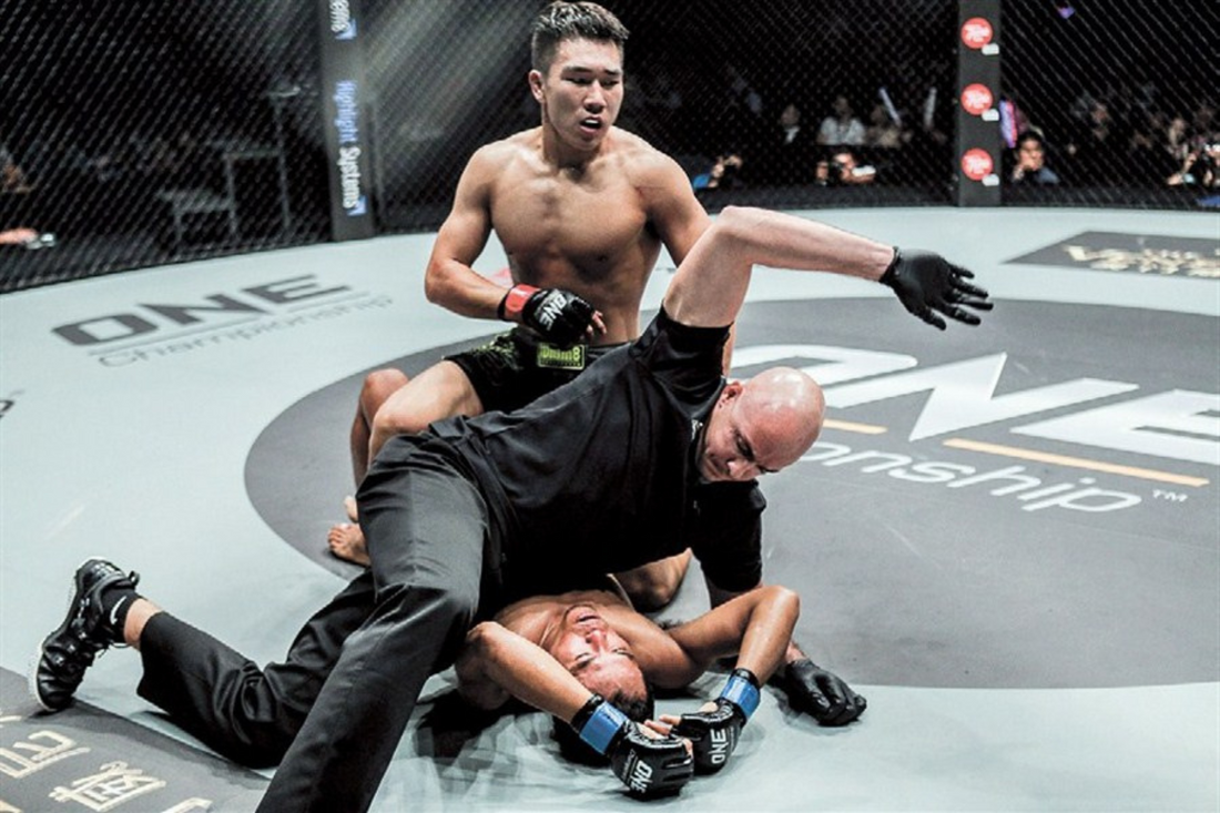 TKO in Boxing: What Does It Mean? A Simple Explanation for New Fans.