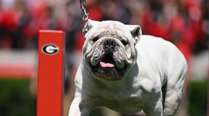 What Station is the Georgia Football Game on Today Find TV and Streaming Info