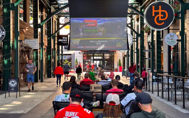 How to Watch Ducks Football Game Simple Guide For New Fans