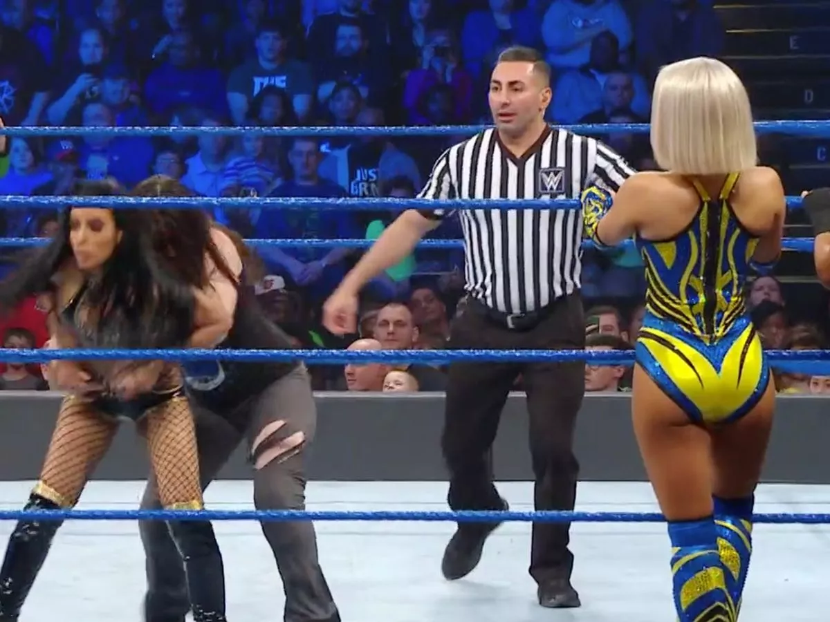 WWE Ref Paycheck Revealed: How Much Do They Really Get Paid?