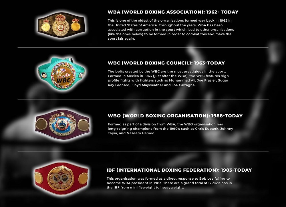 Why Does Boxing Have So Many Belts? The Confusing World of Boxing Titles