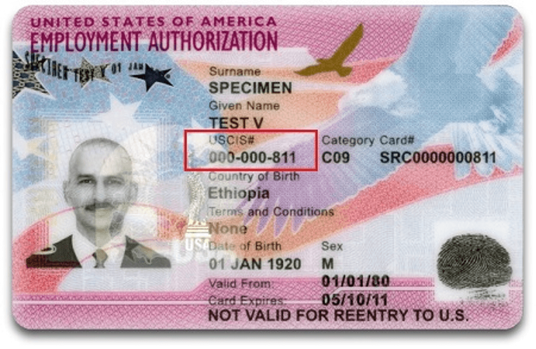 Do F1 Students Get an Alien Registration Number Explained