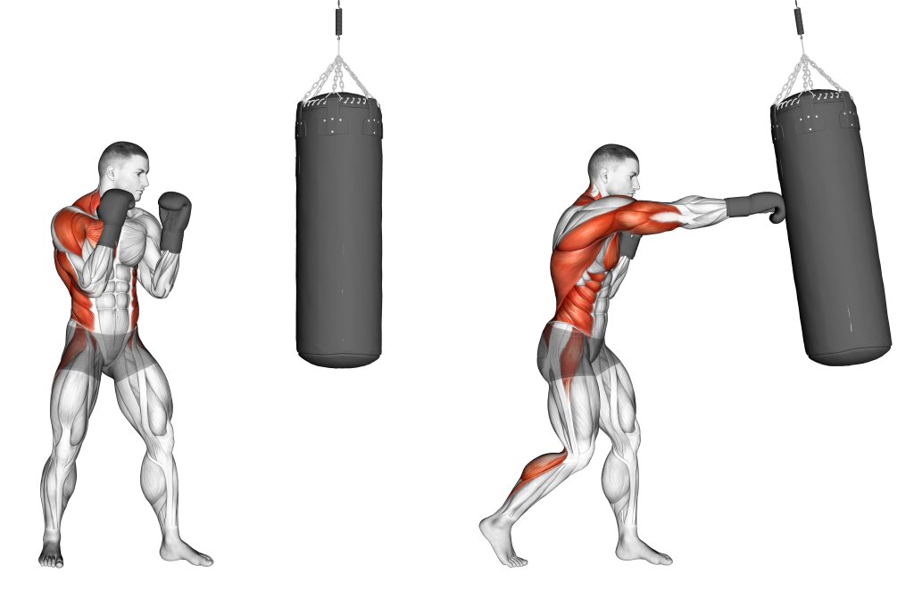 Want Stronger Muscles? Discover What Muscles Boxing Works Most