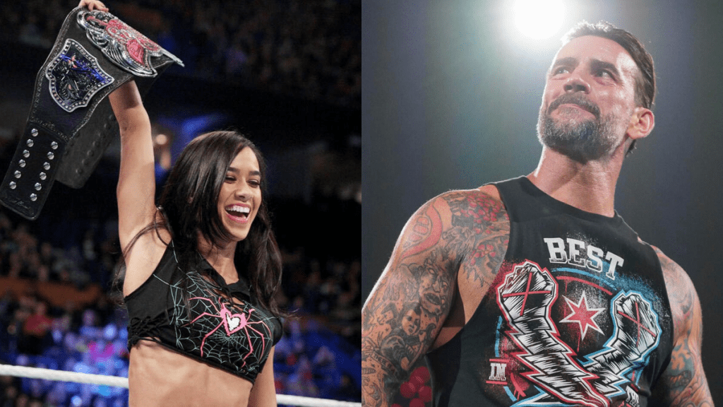 Will AJ Lee Ever Return to WWE: What CM Punk Has to Say