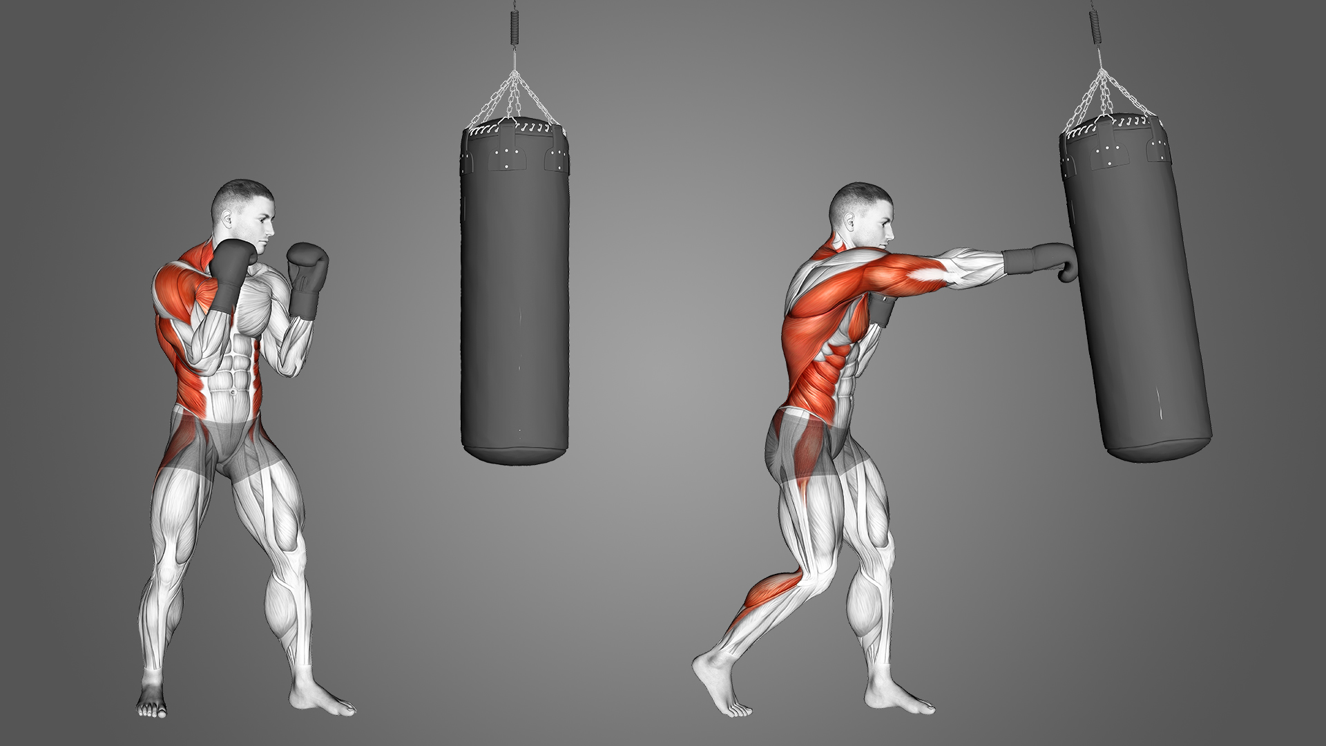 Will Boxing Build Muscle? Easy Ways to Get Ripped!