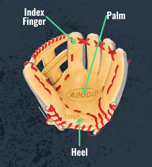 Learn How to Size Your Hand for a Baseball Glove (Tips From the Pros Made Simple!)