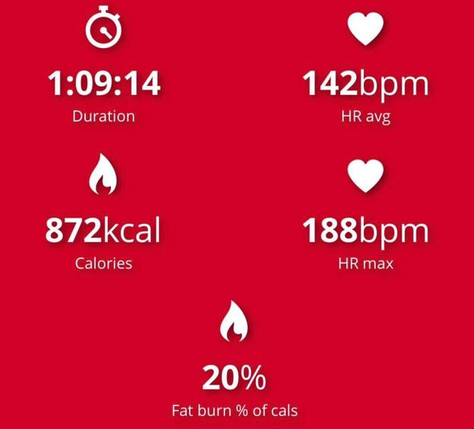 How Many Calories Do You Burn in Boxing? Find Out Here
