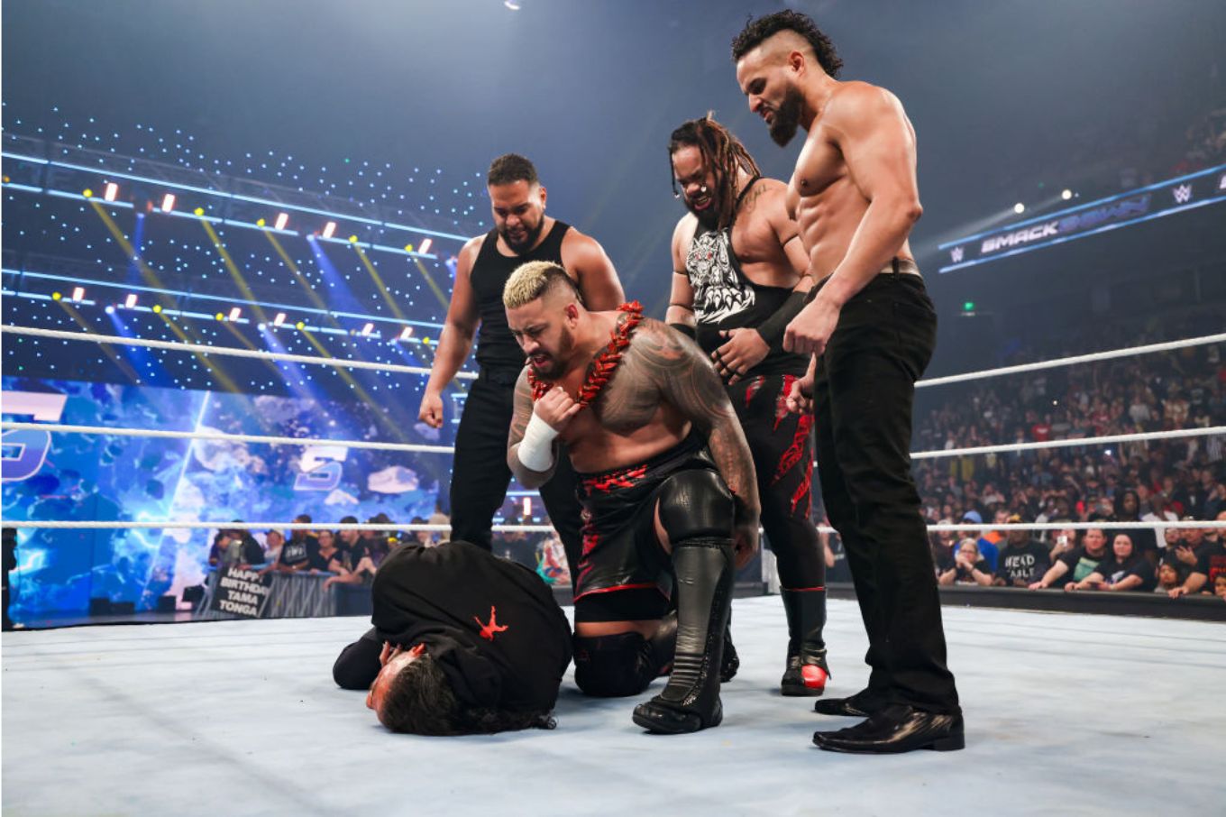 Where Can I Watch WWE Survivor Series? Find Out Here!