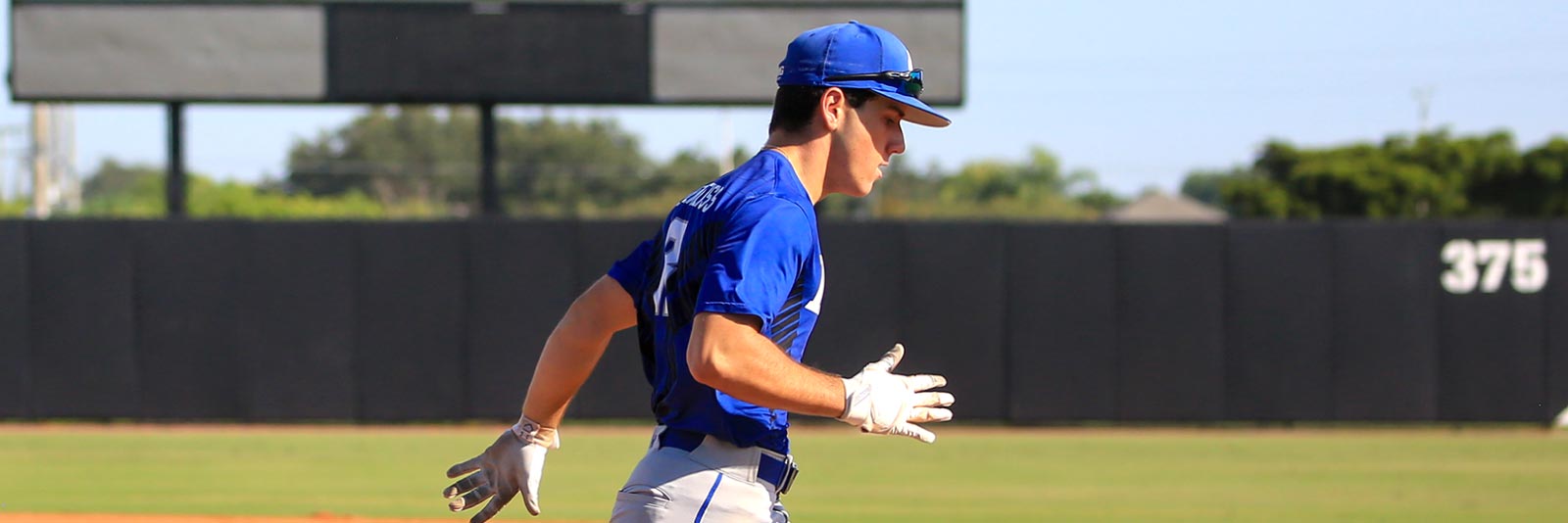 How many NAIA baseball teams are there? Here is the answer you want.