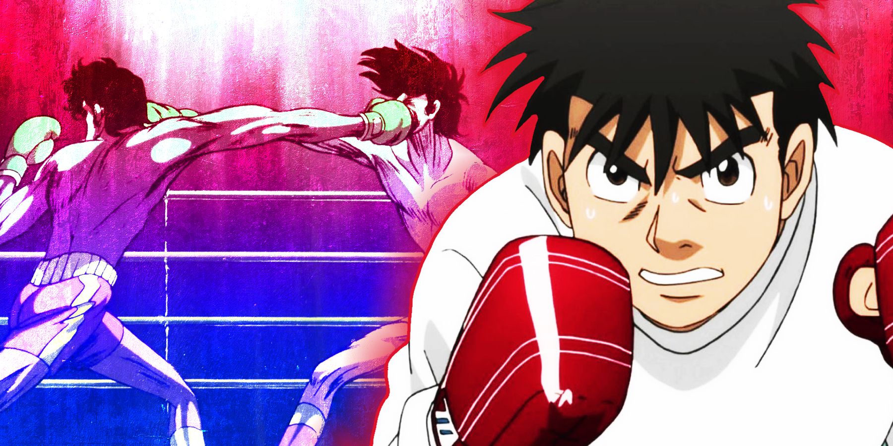 Looking for Boxing Anime Shows? | Start with most popular anime in 2024.