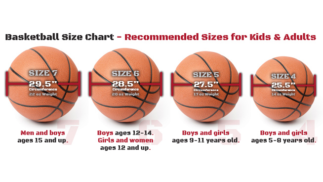 Smaller Ball in WNBA? Comparing WNBA and NBA Basketball Sizes