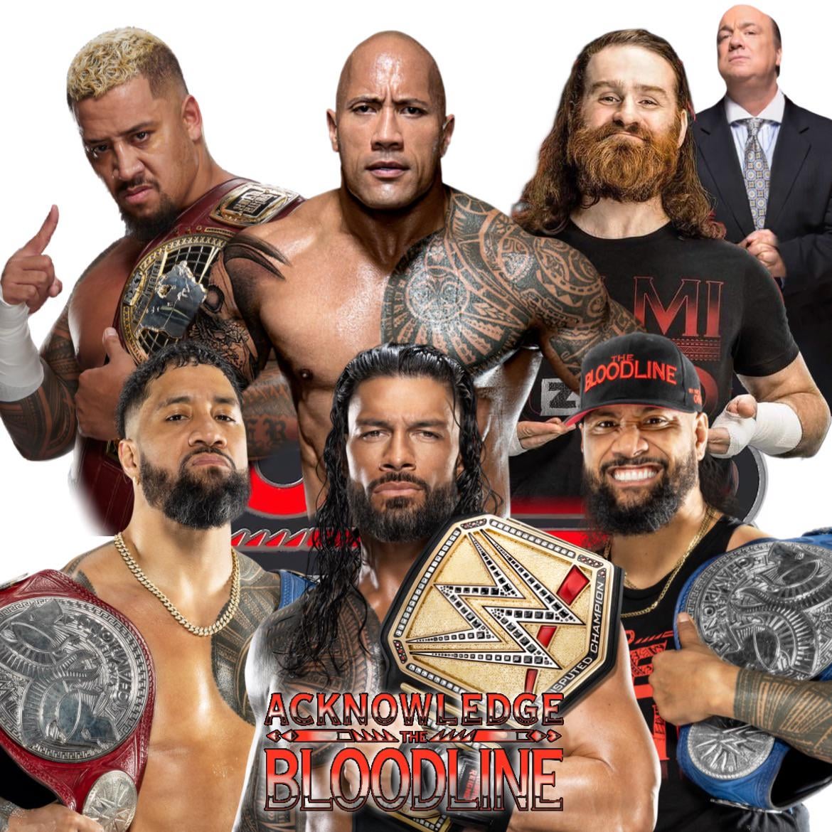 The Bloodline WWE: Get to Know Every Member of the Faction.