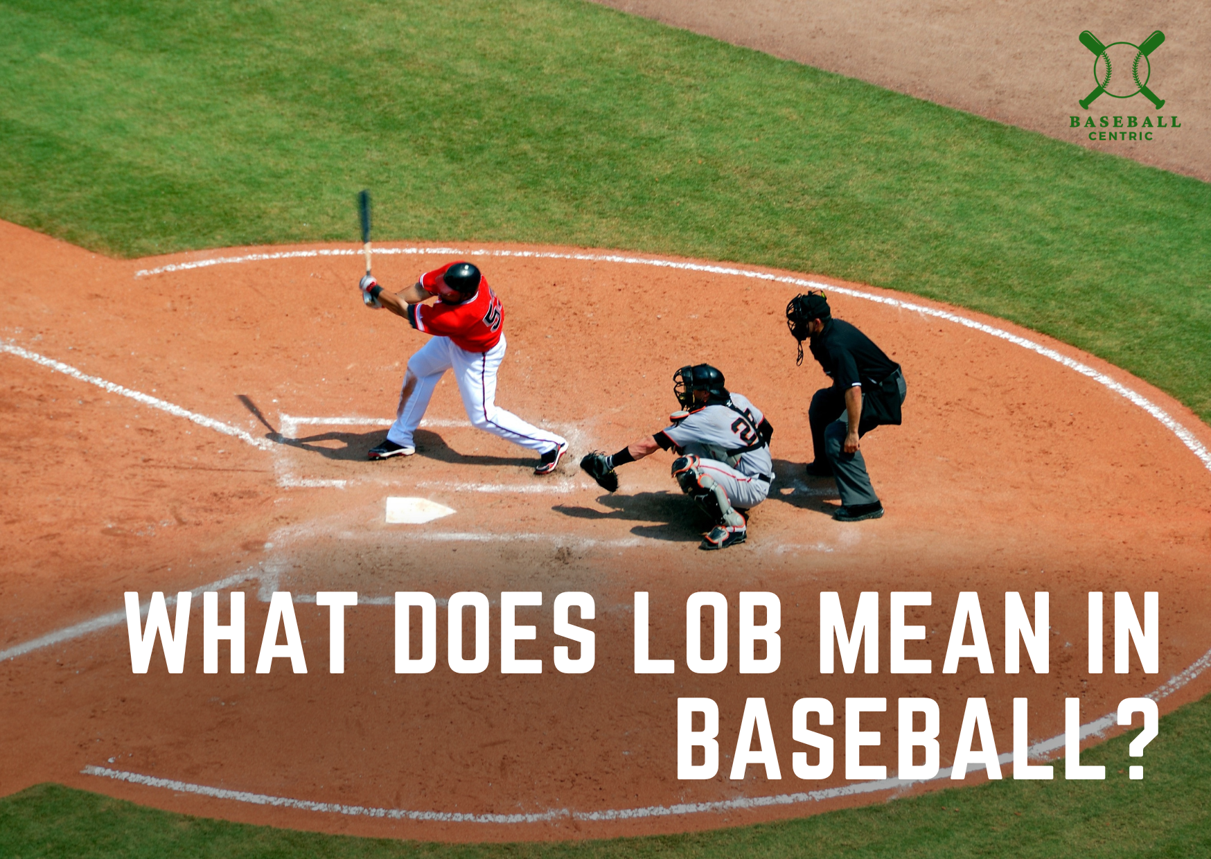Lob in Baseball: Whats It All About? (Learn the Basics of This Baseball Term)